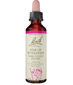 Bach Star Of Bethlehem Flower Essence